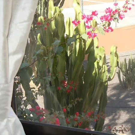 Family 1 Bedroom 3 - Oasis Duna * Corralejo